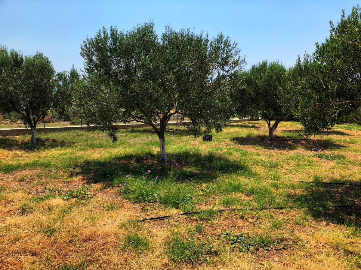 The Hillhouse Near Alexandroupolis Villa Exterior foto