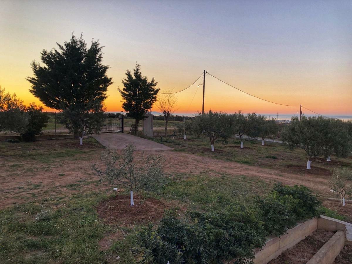 The Hillhouse Near Alexandroupolis Villa Exterior foto